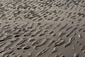 Ripples in wet sand on the northsea coast on low tide Royalty Free Stock Photo