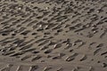 Ripples in wet sand on th northsea coast on low tide Royalty Free Stock Photo