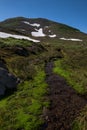 Rippling creek on the slopes of Mutnovsky volcano Royalty Free Stock Photo