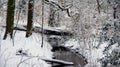 Rippling creek in the snow Royalty Free Stock Photo