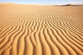 rippling desert sands showing intricate natural patterns