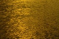 Rippling gold water surface in swimming pool, water river for background