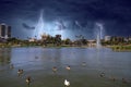 A rippling green lake with a water fountain and birds on the water surrounded by lush green palm trees and grass and buildings Royalty Free Stock Photo