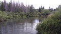 Rippling Lake in Dense Forest Royalty Free Stock Photo