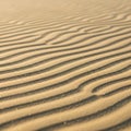 Rippling sand dunes with parallel wavy Royalty Free Stock Photo