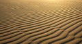 Rippling sand dunes with a pattern of parallel lines created by wind. The golden lighti Royalty Free Stock Photo