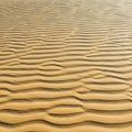 Rippling sand dunes stretch across the Royalty Free Stock Photo