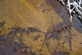 rippling water of a creek with brown soil Royalty Free Stock Photo