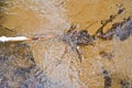 rippling water of a creek with brown soil Royalty Free Stock Photo