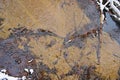 rippling water of a creek with brown soil Royalty Free Stock Photo