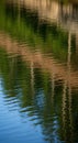 Rippling water reflects vibrant green trees Royalty Free Stock Photo