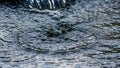 Rippling water surface with circular patterns and air bubbles Royalty Free Stock Photo