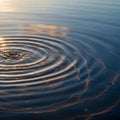Rippling water surface with concentric circles Royalty Free Stock Photo