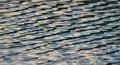 Rippling water surface with gentle, undulating patterns. The reflections create a play Royalty Free Stock Photo