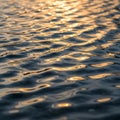 Rippling water surface reflecting golden sunlight creates a mesmerizing pattern. The image showcases Royalty Free Stock Photo