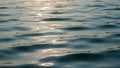 Rippling water surface reflecting sunlight creating gentle waves Royalty Free Stock Photo