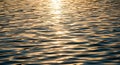 Rippling water surface reflecting warm sunlight. Royalty Free Stock Photo