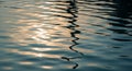 Rippling water surface with sunlight reflecting, Royalty Free Stock Photo