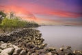 The rippling waters of the Savannah River with large rocks along the banks and lush green trees and plants with ships docked Royalty Free Stock Photo