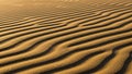 Ripply sand dunes cast long shadows in a uniform pattern under warm light Royalty Free Stock Photo