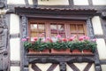 Window with flowers Royalty Free Stock Photo