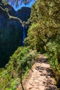 Risco Waterfall - Hiking on Levada trail 25 Fontes in Laurel forest at Rabacal - beautiful landscape scenery - Madeira Island,