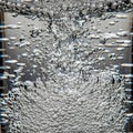 Rise energetically through the clear liquid creating an effervescent Royalty Free Stock Photo