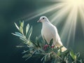 He is risen concept, dove flying with olive leaves , ray of light, easter concept Royalty Free Stock Photo