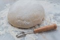 Risen French boule bread dough with a lame