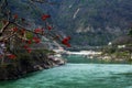 RISHIKESH, INDIA - view to Ganga river and lakshman jhula from cafe under magnolia tree Royalty Free Stock Photo