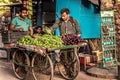 Rishikesh, 2017, Indian men sell vegetables, eggplants and peppers on a cart at a street market in India 1 Royalty Free Stock Photo