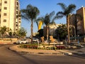RISHON LE ZION, ISRAEL -APRIL 23, 2018: Roundabout with small fountain on the street with palms in Rishon Le Zion, Israel.