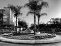 RISHON LE ZION, ISRAEL -APRIL 23, 2018: Roundabout with small fountain on the street with palms in Rishon Le Zion, Israel.