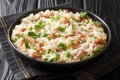 Risi e Bisi Arborio rice with green peas and prosciutto close-up on a plate. horizontal Royalty Free Stock Photo