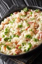 Risi e Bisi Italian Rice and Peas with ham close up in a plate. Vertical Royalty Free Stock Photo