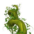 Rising Beanstalk Royalty Free Stock Photo