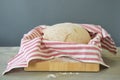 Rising bread dough Royalty Free Stock Photo