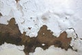 Rising Damp and Peeling Paint on Exterior Wall Royalty Free Stock Photo