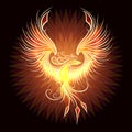 Rising Fire Burning Phoenix Bird on Black Background Royalty Free Stock Photo