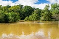 Rising Waters of the Roanoke River Royalty Free Stock Photo