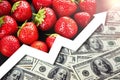 Rising food prices. Food crisis concept. Global financial crisis. Food deficiency. Graph of growth in fruit prices. Problems of