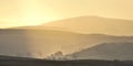 Rising mists, Bowland, Lancashire