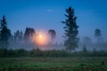 Rising moon over a foggy forest at dusk Royalty Free Stock Photo