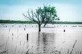 Rising sea levels cause fooding in coastal areas Royalty Free Stock Photo