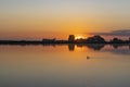 The rising sun has almost cleared the morning mist above lake Noordhovense plas when a solitary grebe swims through the water Royalty Free Stock Photo