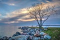 Colorful Early Morning Waterfront Scene At Meaford, Ontario Royalty Free Stock Photo