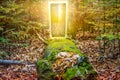 Rising to the top . Door to heaven Royalty Free Stock Photo