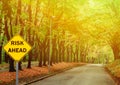 RISK AHEAD sign against road in green forest - Business concept Royalty Free Stock Photo