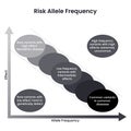 Risk Allele Frequency genome sciences vector illustration infographic Royalty Free Stock Photo