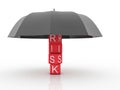 Risk Insurance And Accident Themes